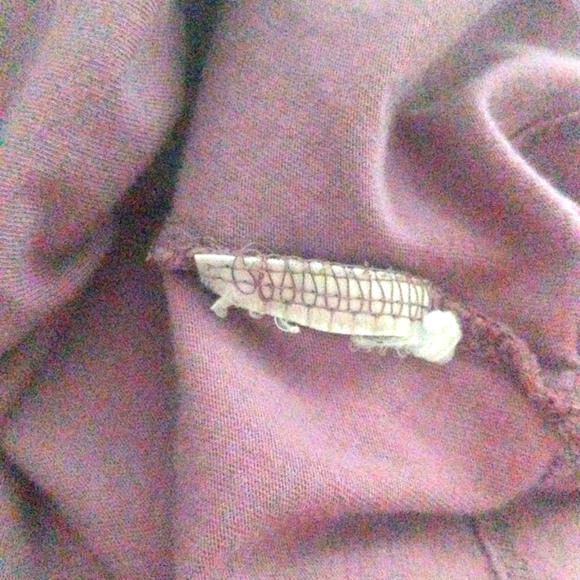 Eddie Bauer Women's Petite Shirt - Picture 4 of 7